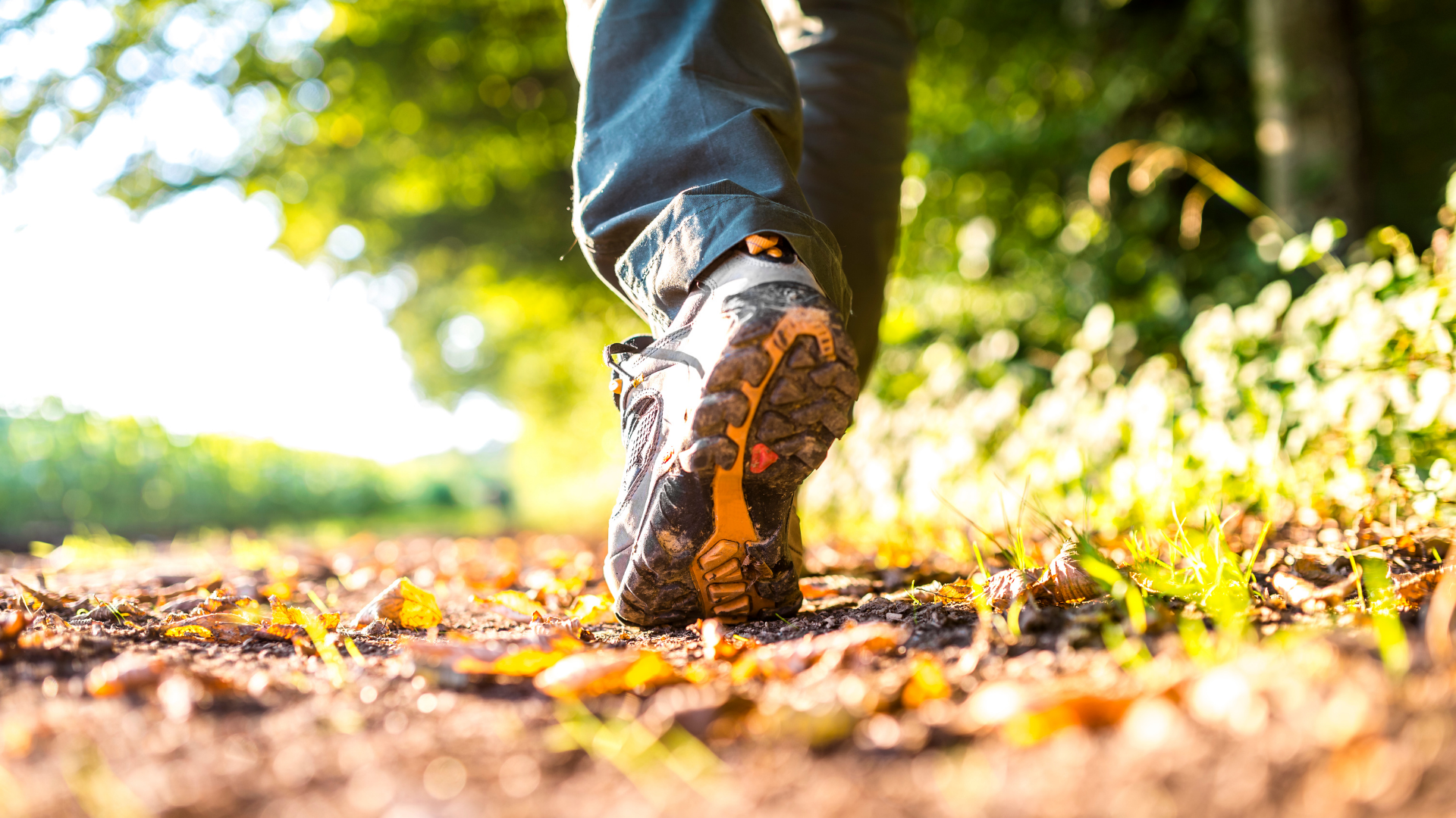 Walking in nature