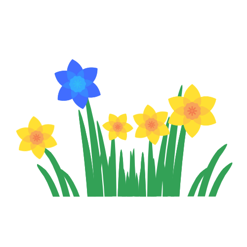 blue daffodil with yellow daffodils