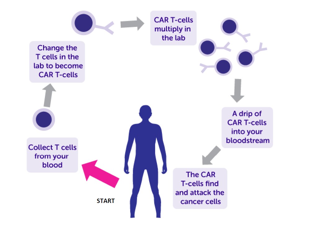 CAR T-cell patient information leaflet