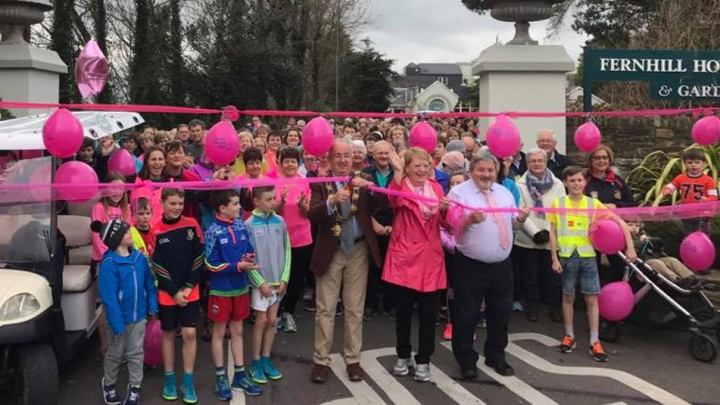 Pink Ribbon Walk 2