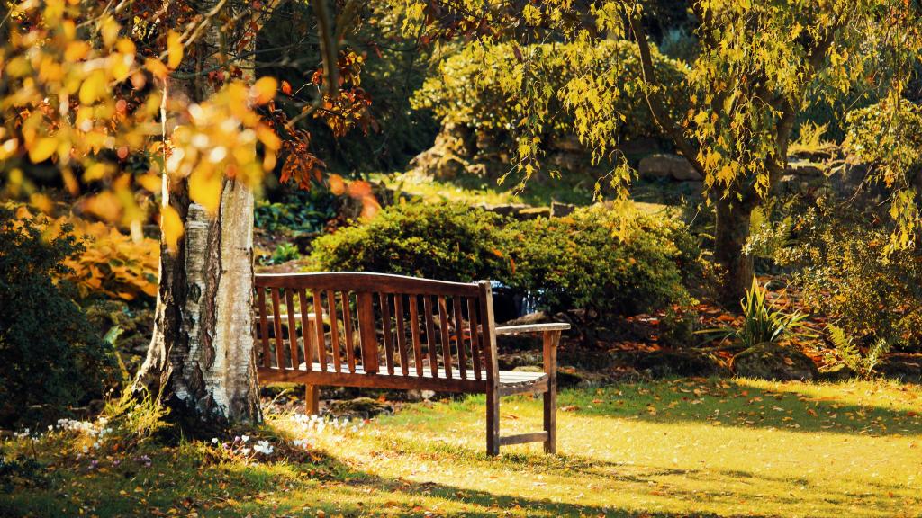 bench