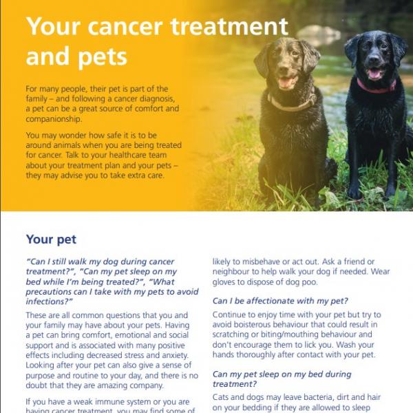 Your pets