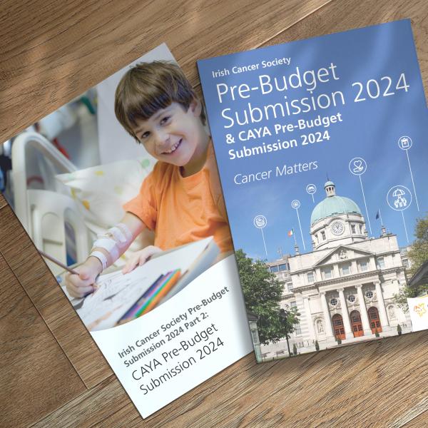 prebudget 2024
