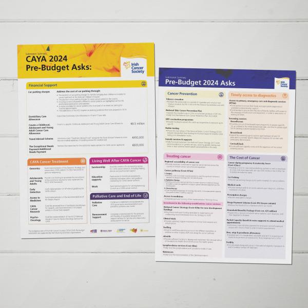 2024 Prebudget & CAYA Submission onepagers