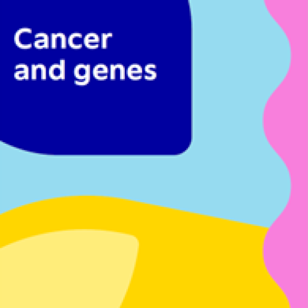 Cover of the cancer and genes factsheet