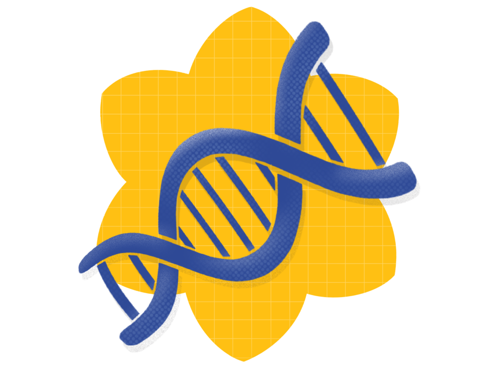 DNA strand