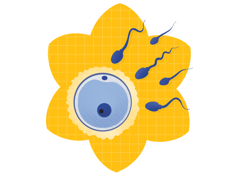 Eggs and sperm