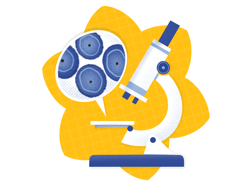 Microscope and cells