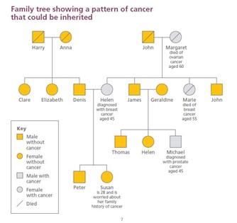Diagram showing a family tree and how a genetic alteration in one parent can pass down through a family