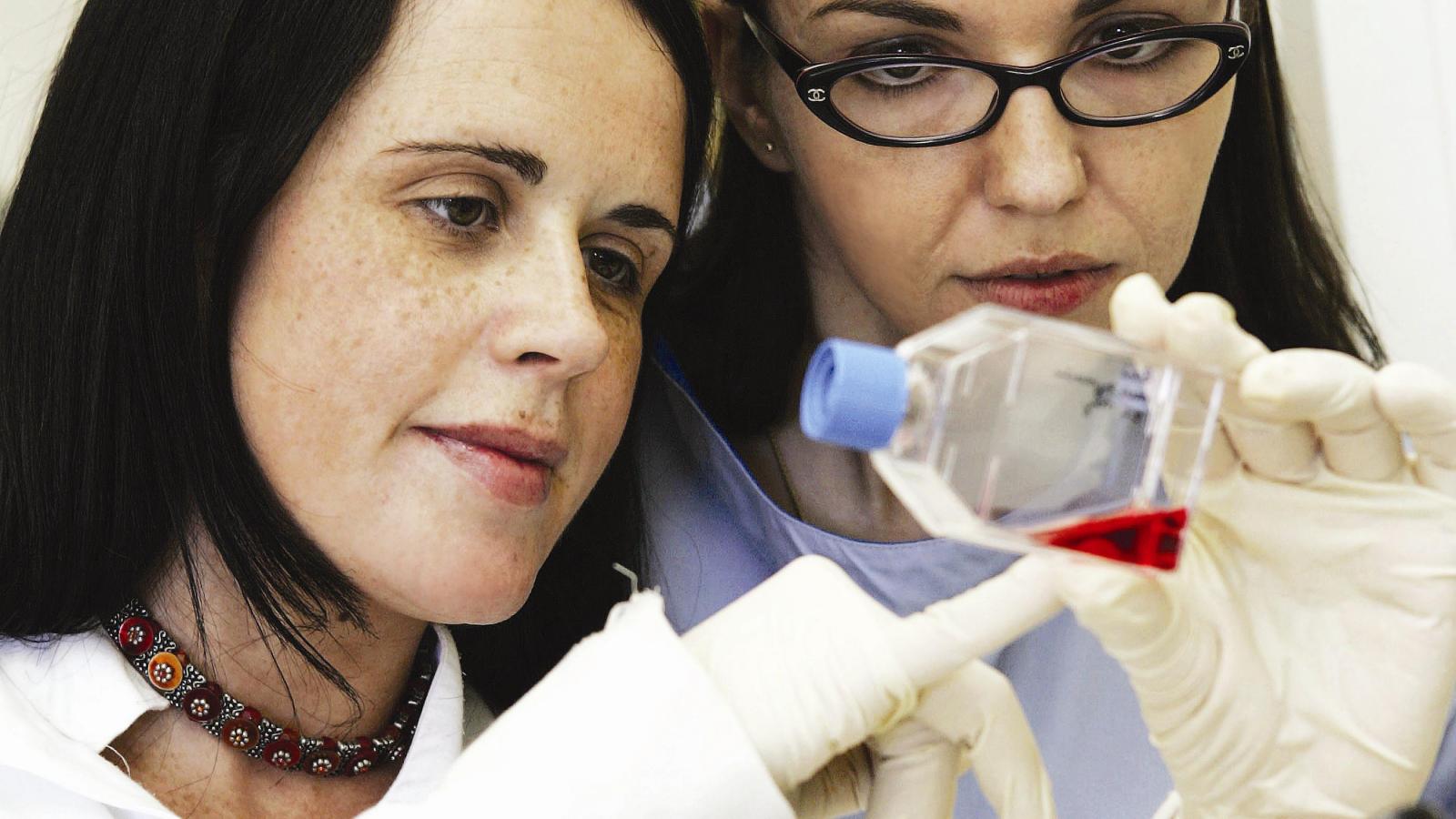 Research scientists looking at a sample