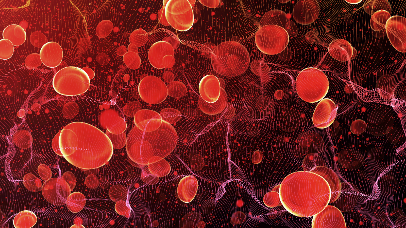 blood cells