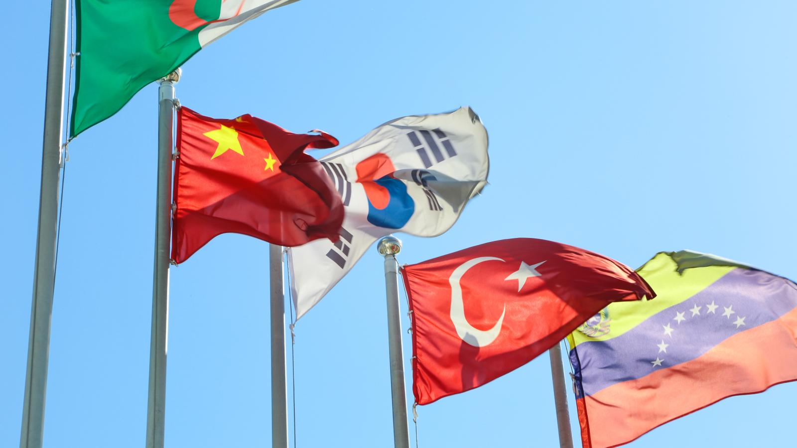 flags